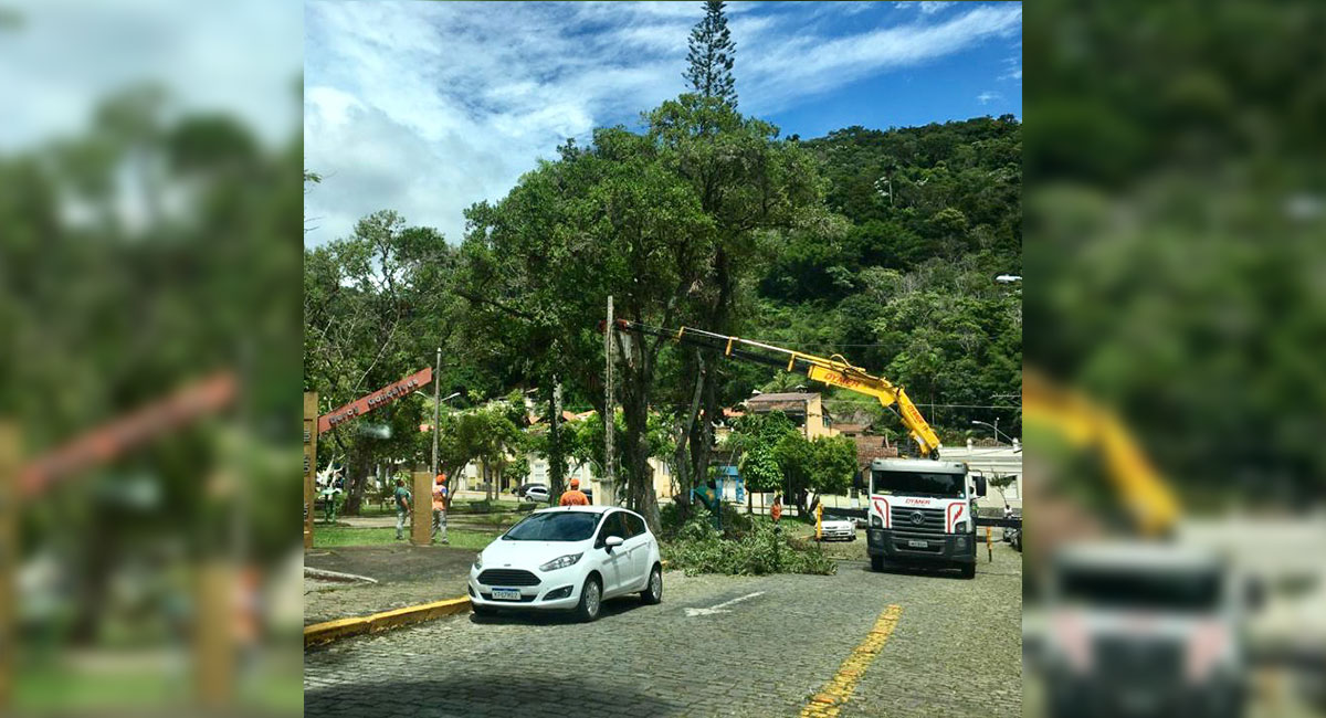 Defesa Civil poda galhos na Praça Coronel Braz