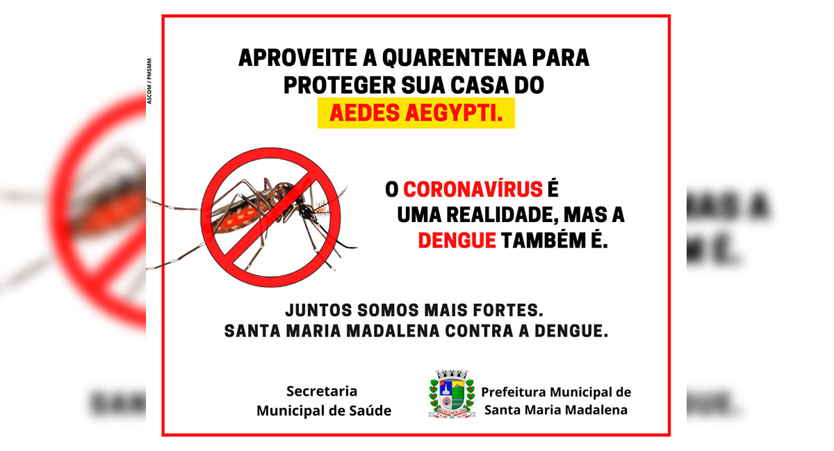 Aproveite a quarentena para proteger sua casa do Aedes Aegypti