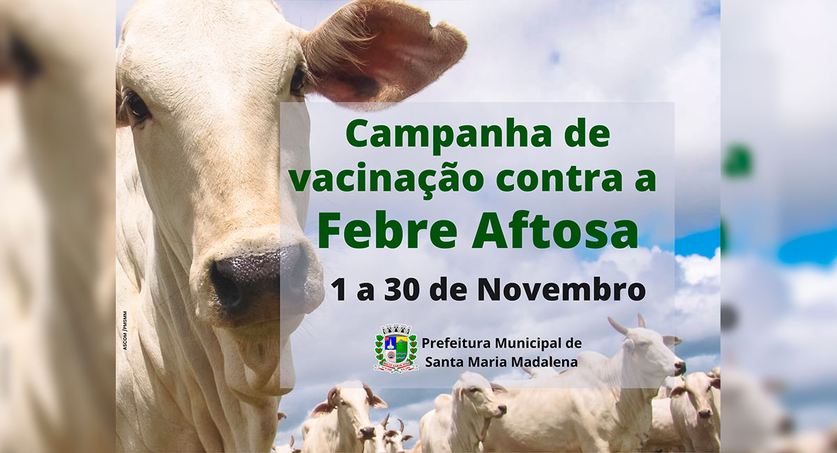 Segunda etapa da campanha de vacinação contra a febre aftosa vai até 30 de novembro
