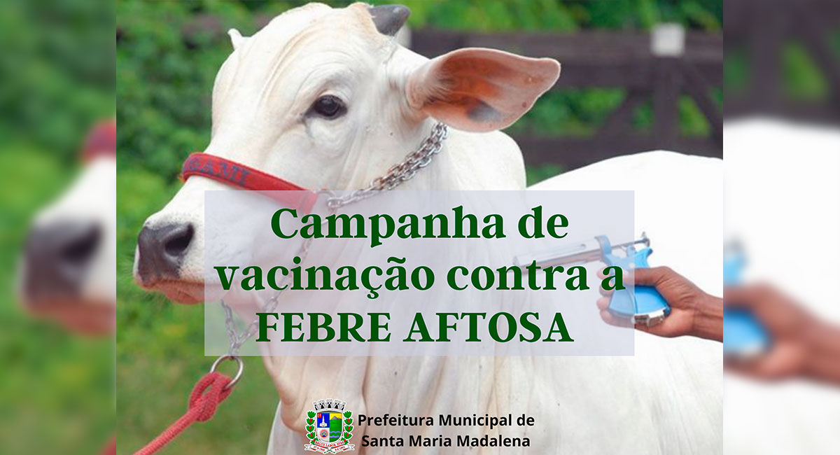 Febre aftosa: Campanha de vacinação começa no dia 1º de maio