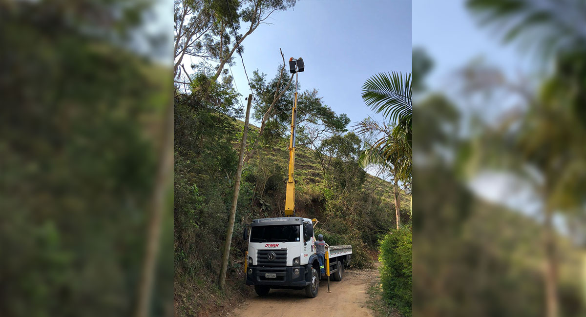 Defesa Civil realiza corte e poda de árvore com risco de queda