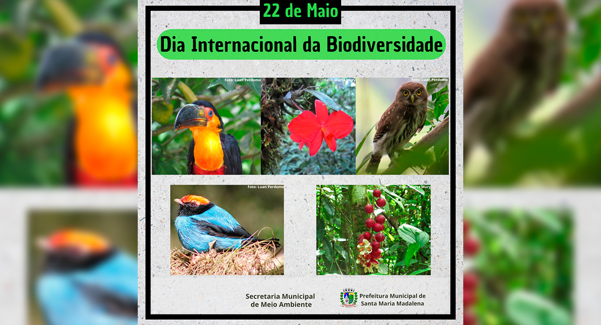 Dia Internacional da Biodiversidade