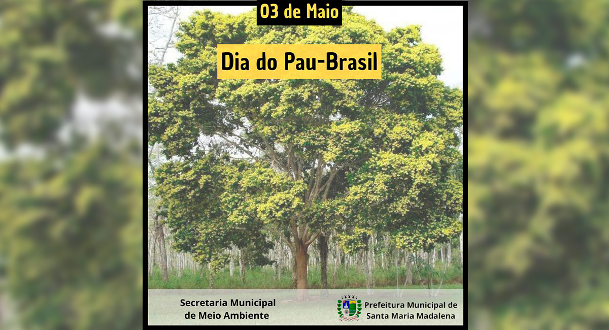 Dia nacional do pau-brasil