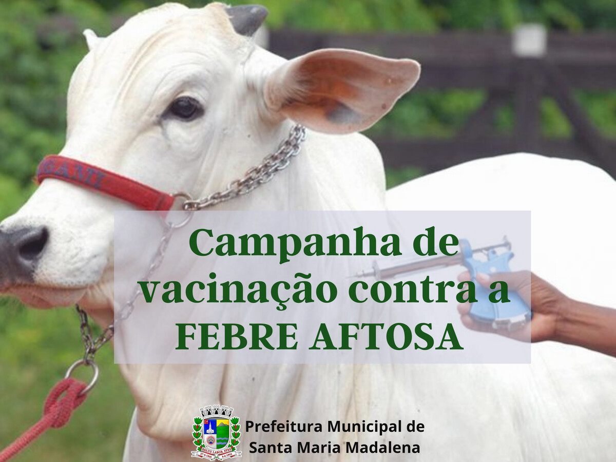 2ª Etapa da campanha de vacinação contra febre aftosa termina no dia 30 de novembro