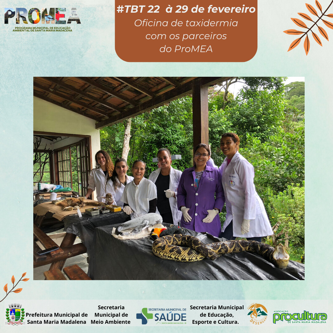 Voluntários realizam mutirão de taxidermia para Mostra de Biodiversidade no Parque Estadual do Desengano