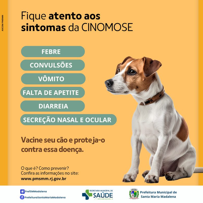 Cinomose: Sintomas e a Importância da Vacinação