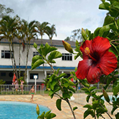 Campestre Clube - No Campestre o visitante pode passar o dia desfrutando de banho de piscina, tendo ao seu alcance guloseimas especialmente preparadas pelo melhor “chefe de cozinha” de Santa Maria Madalena, o popular Pezão. Além disso, é importante destacarmos aqui, que o Madalena Campestre Clube está numa área totalmente verde, cuja paisagem, por si só, já faz valer uma visita.