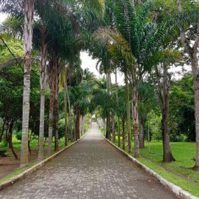 Horto Florestal - Horário: Diariamente das 7 às 16 h. O Horto ocupa uma área de 12,5 hectares, tendo sido fundado em julho de 1932 por Joaquim dos Santos Lima Junior. Este Botânico fez expedições no Parque do Desengano classificando diversas espécies de orquídeas e bromélias. A qualidade de seu trabalho também é percebida pelo planejamento e construção do horto. Ainda se encontram no horto espécies e canteiros remanescentes daquele período. Seu portão em estilo neoclássico e os graciosos prédios da administração são o testemunho do cuidado na instalação do horto em 1932. A capacidade do Horto é de 100.000 mudas, possuindo hoje cerca de 15.000, entre espécies de árvores frutíferas, ornamentais e de reflorestamento para comercialização, além de um roseiral com matrizes e área de enxertos. Nele hoje funciona o INEA, o batalhão da Polícia Florestal e a secretaria municipal de agricultura e Secretaria municipal de meio ambiente.